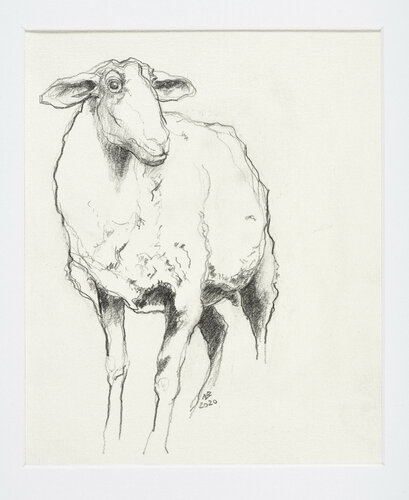 Coburger Fuchsschaf di Benno Noll, Disegno in vendita su Singulart