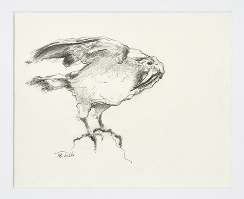Kea di Benno Noll, Disegno in vendita su Singulart