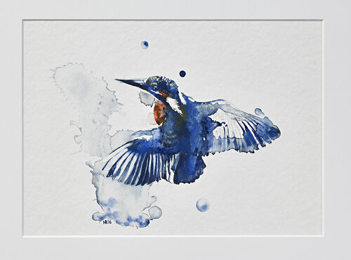 Alcedo atthis (Eisvogel/Kingfisher) di Benno Noll, Stampa in vendita su Singulart