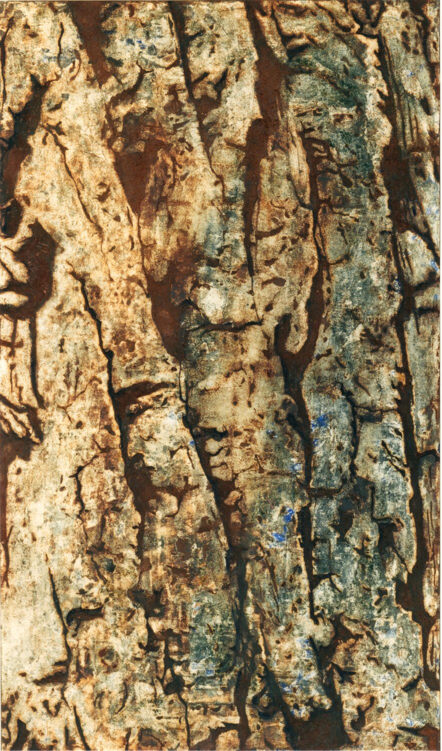Birkenrinde Benno Noll