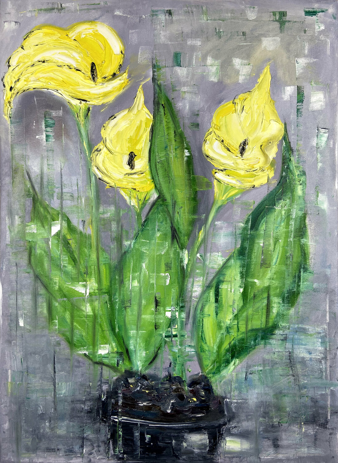 FLOWER CALLA Helen She