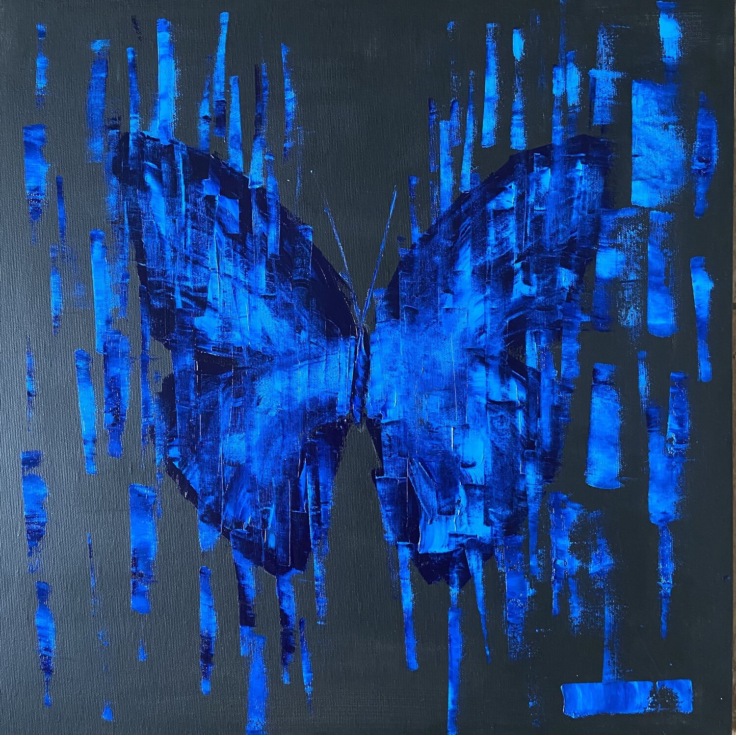 MATRIX BUTTERFLY NIGHT Helen She
