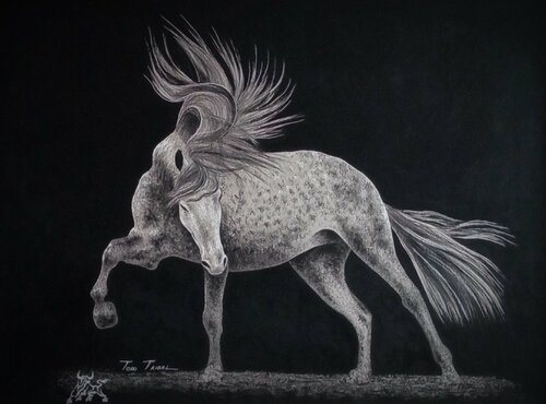 Caballo tordo Toro Tribal