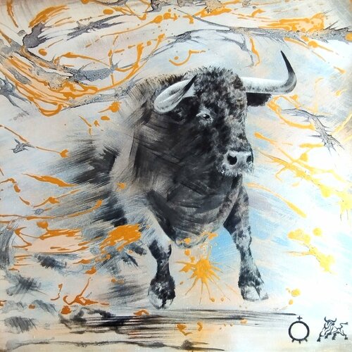 Cohete van Toro Tribal, Schilderij te koop op Singulart