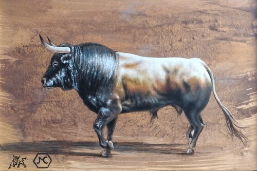 Sillero n° 27 Toro Tribal