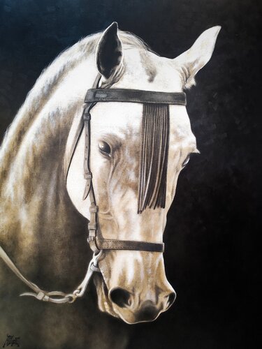 FAVORITO van Toro Tribal, Schilderij te koop op Singulart