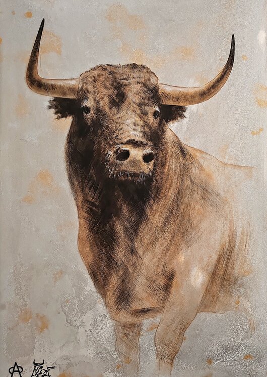 TORO MIURA Toro Tribal