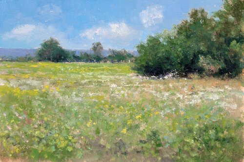 Prairie en Provence by Pascal Giroud, 油畫 for Sale on Singulart