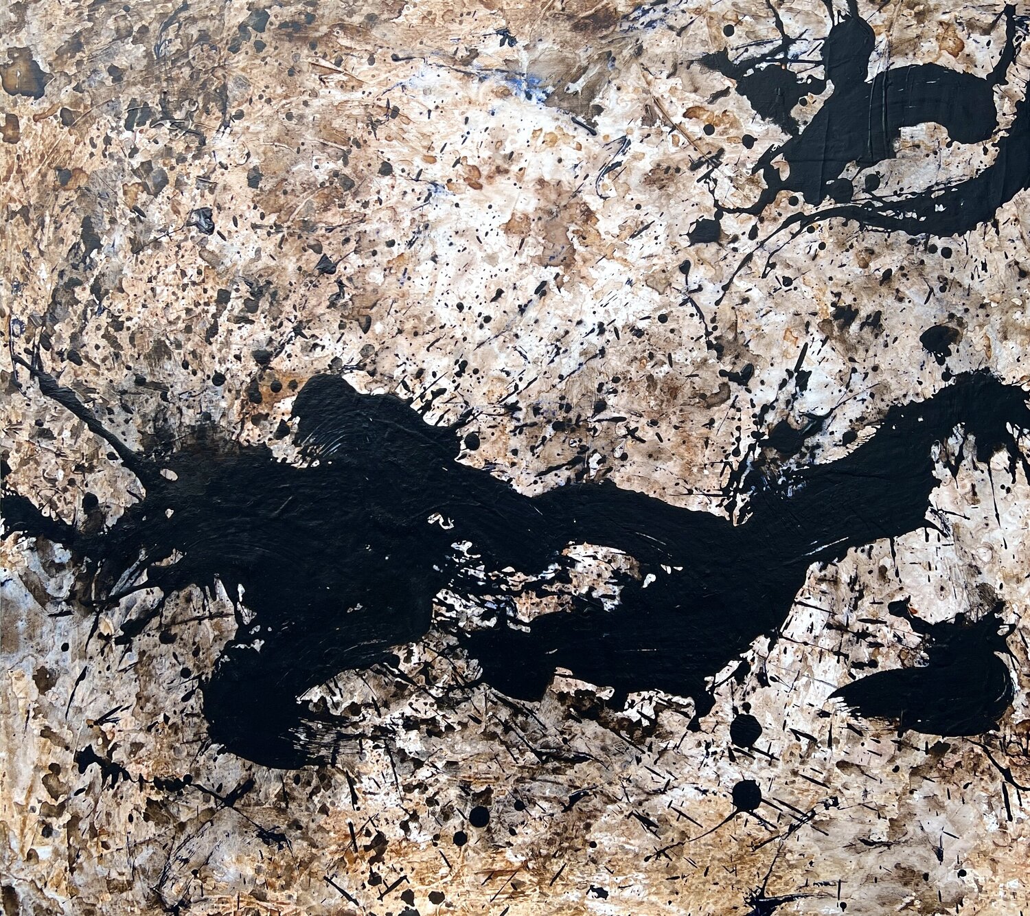 Echo of Thoughts Romana Jelínková