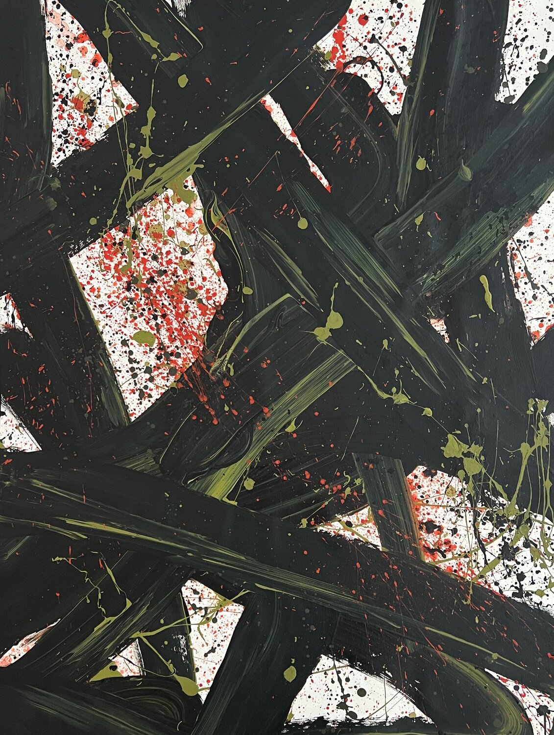 Without Compromise Romana Jelínková