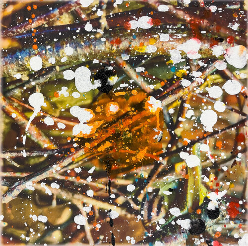 Natura Nro 005 di Mota Montero, Pittura in vendita su Singulart