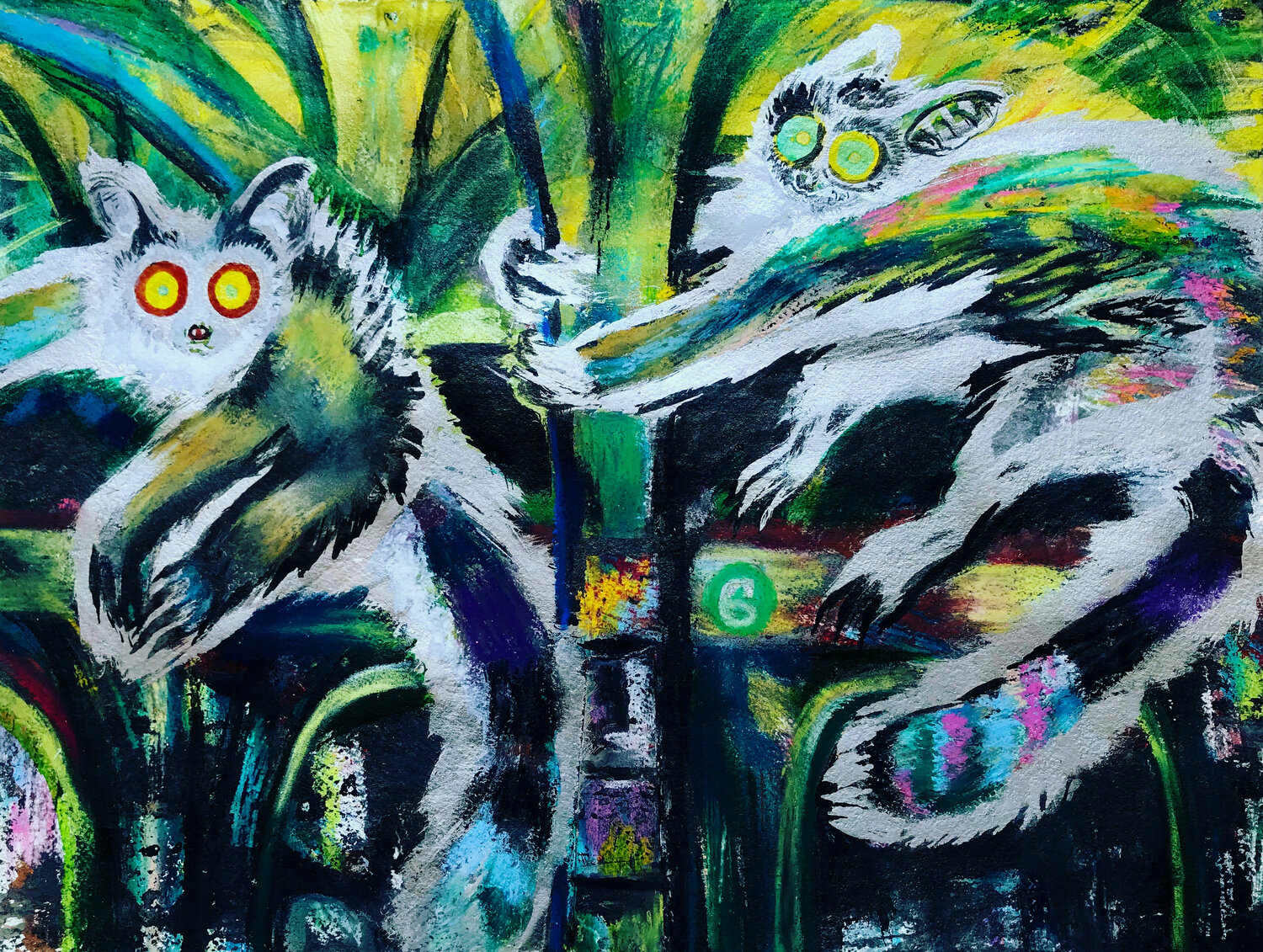 Bush Babies Gone to Town Niki Singleton