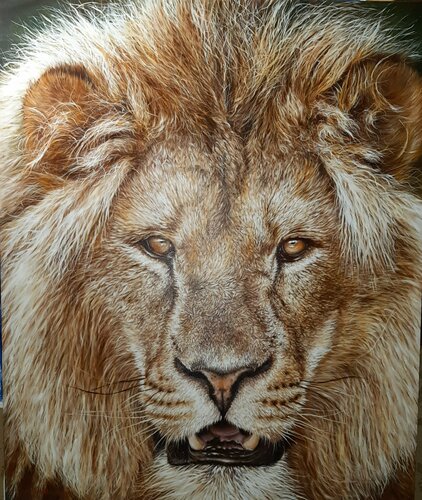 The Lion von Gorka Gonzalez Crespo, Malerei kaufen auf Singulart