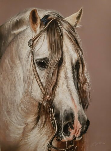 Caballo Blanco von Gorka Gonzalez Crespo, Malerei kaufen auf Singulart