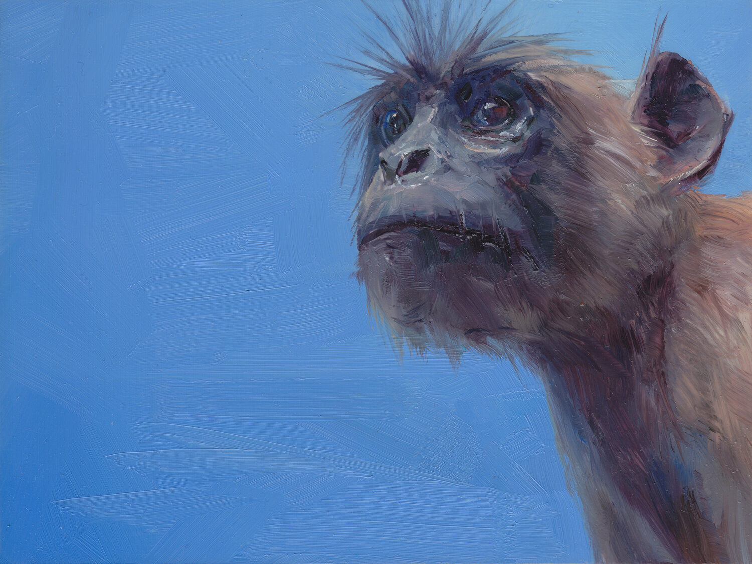 Conditional background (panel 4) Matthew Schofield Origineel schilderij te koop