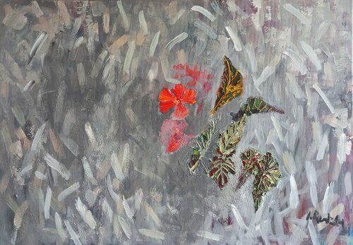 Transmission IZABELA Rudzka