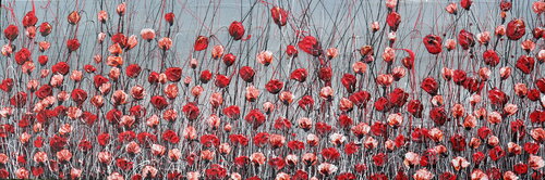 poppies in the garden Donatella Marraoni
