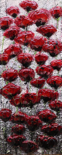 MY POPPIES ARE BETTER van Donatella Marraoni, Schilderij te koop op Singulart
