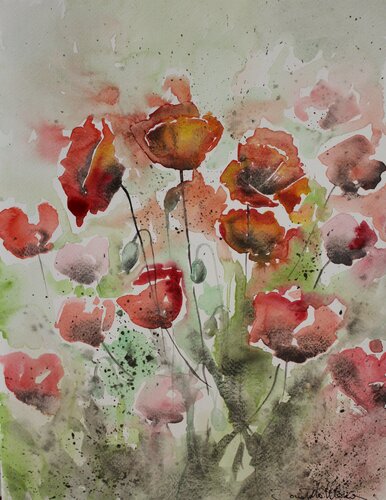 Poppies XII par Donatella Marraoni, Œuvre sur papier en vente sur Singulart