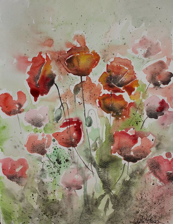 Poppies XII Donatella Marraoni