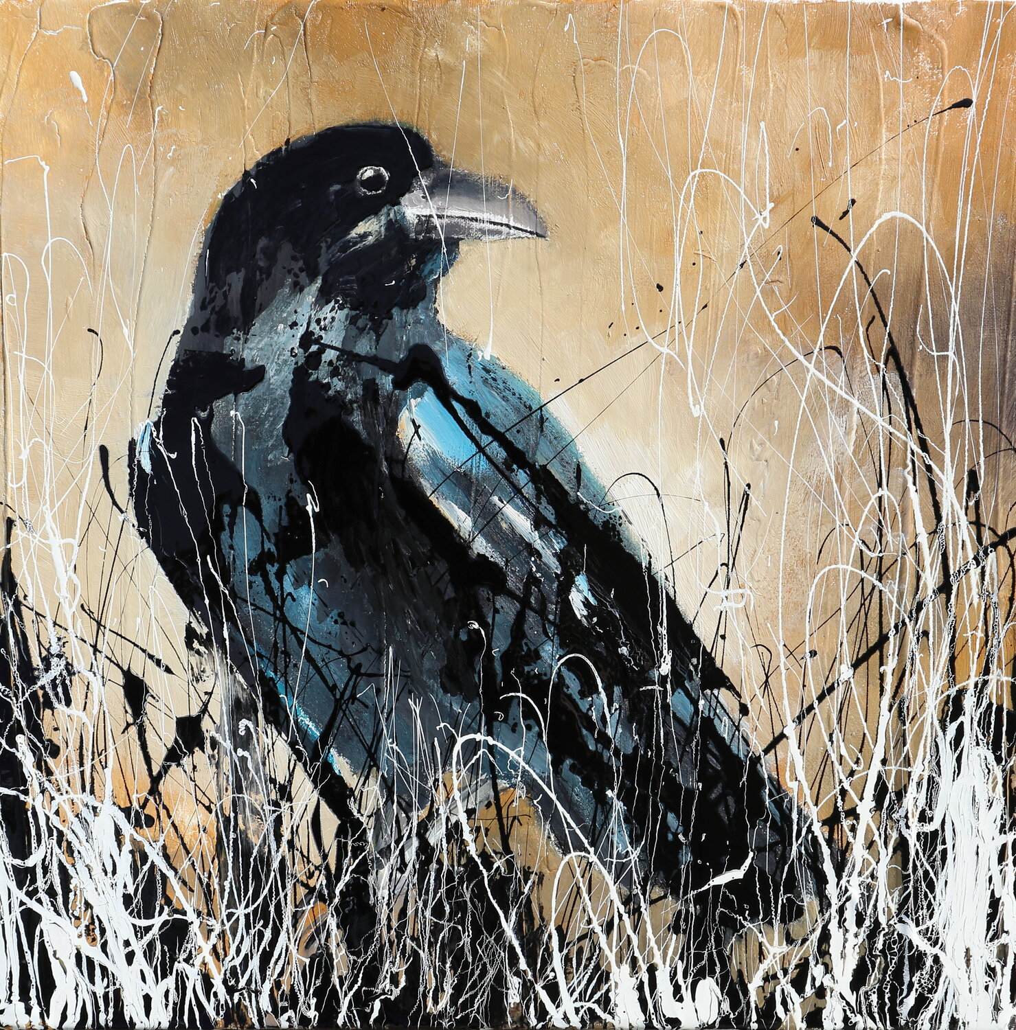the crow... Donatella Marraoni