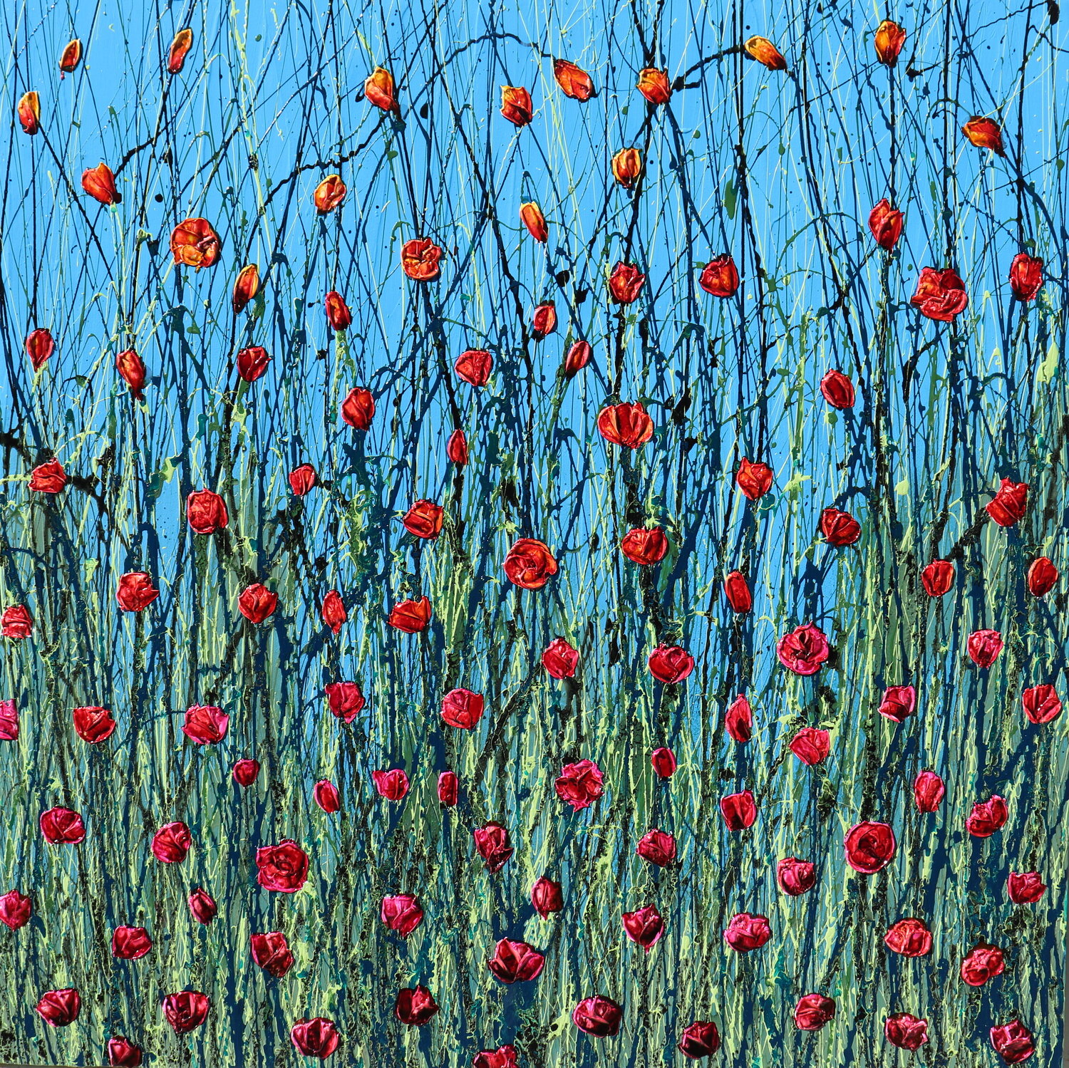 Poppies in the sky Donatella Marraoni