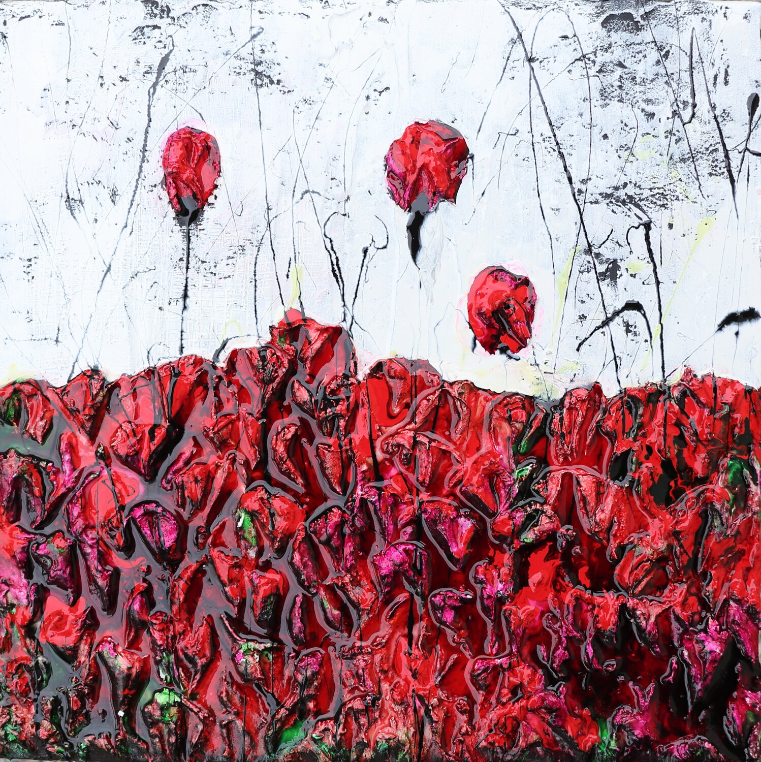poppies passion Donatella Marraoni