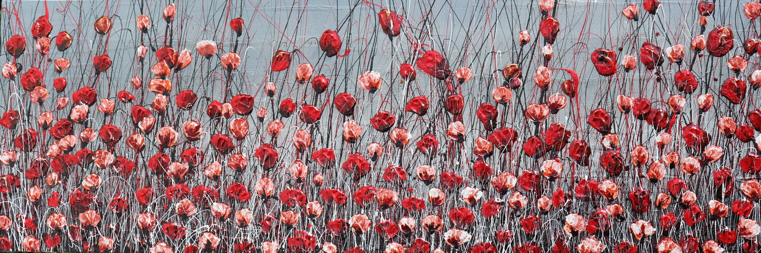 poppies in the garden Donatella Marraoni
