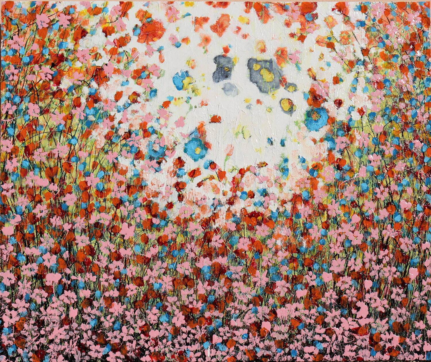 Pink daisies Donatella Marraoni