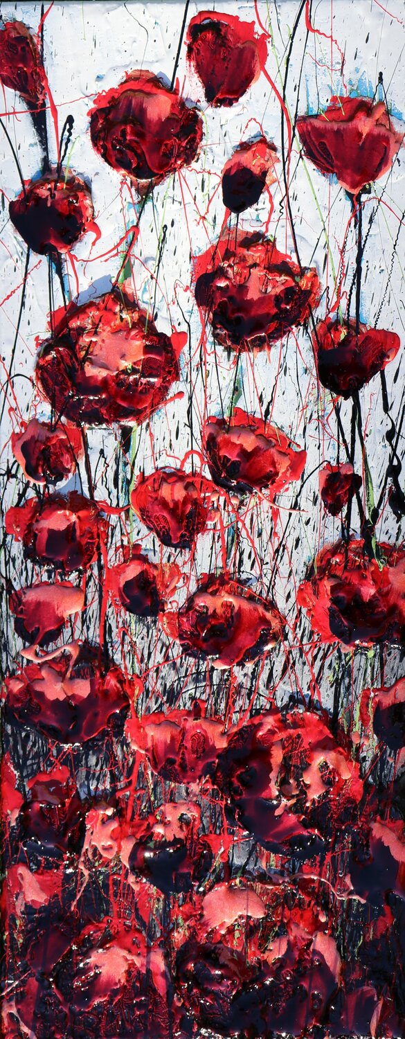 poppies red 2024 Donatella Marraoni