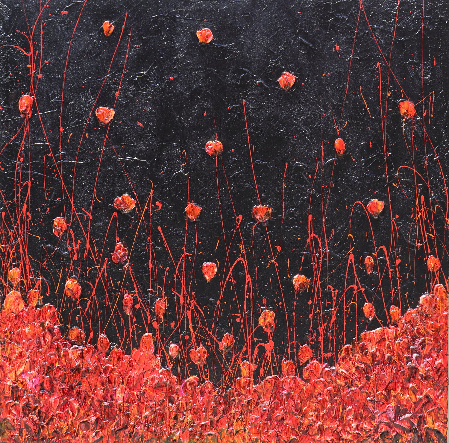 because the night Donatella Marraoni