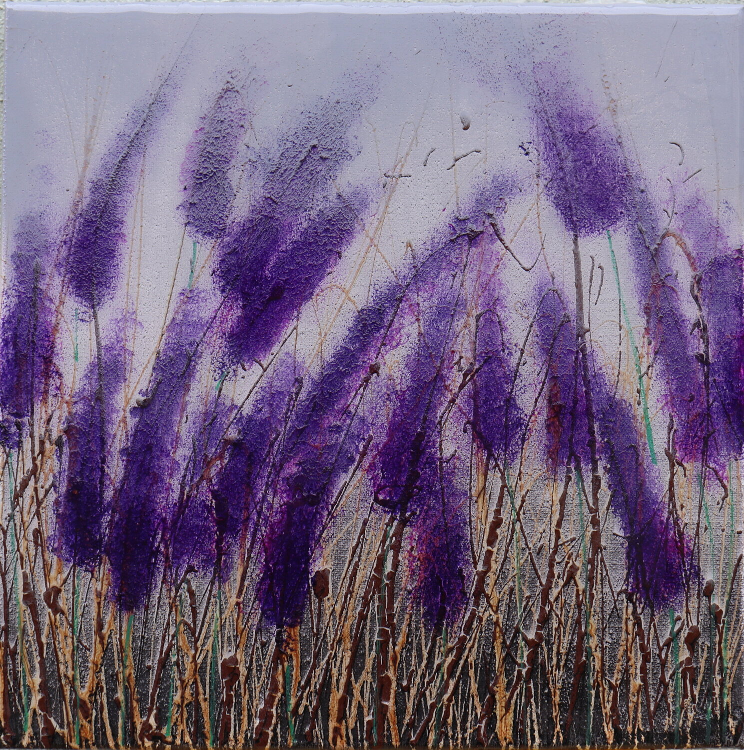 lavanda Donatella Marraoni