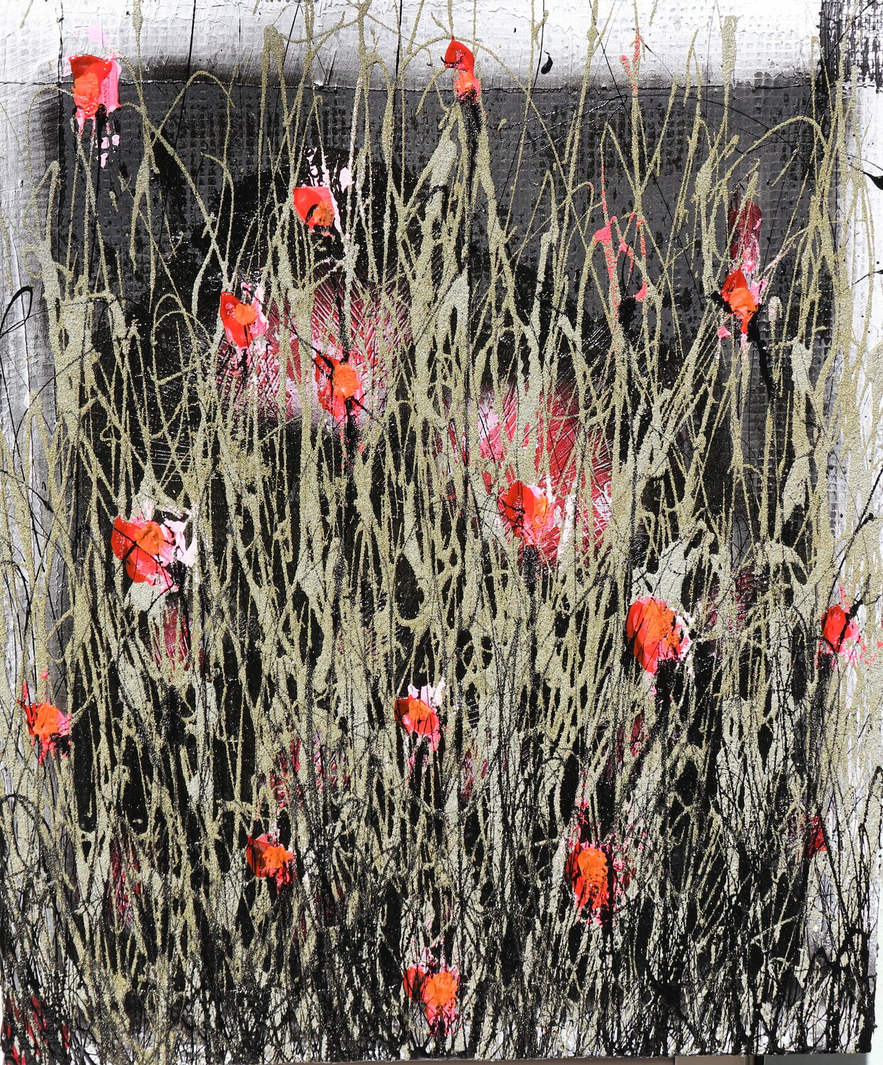 Fields and feelings Donatella Marraoni