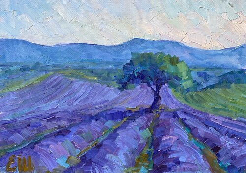 Morning in Provence von Genia Sheyn, Malerei kaufen auf Singulart