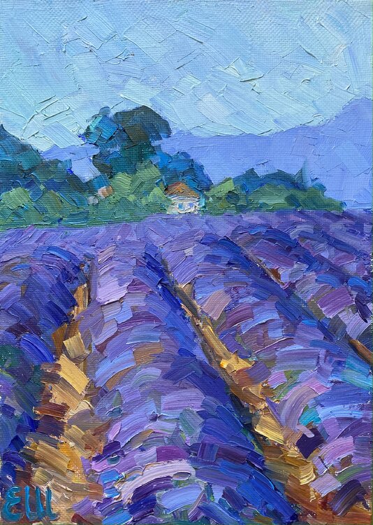 Noon in Provence Genia Sheyn