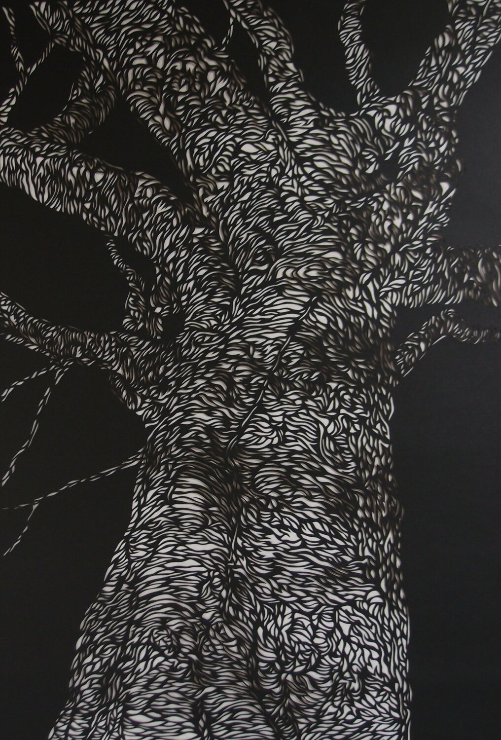 Tree of Life KIYORA.