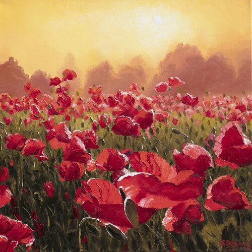 Blooming Poppies van Stanislav Sidorov, Schilderij te koop op Singulart