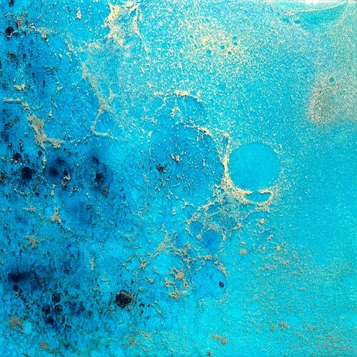 Coral reef Australia von Ana Hefco, Malerei kaufen auf Singulart