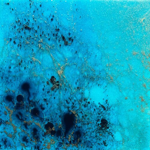 Coral reef Australia #2 van Ana Hefco, Schilderij te koop op Singulart