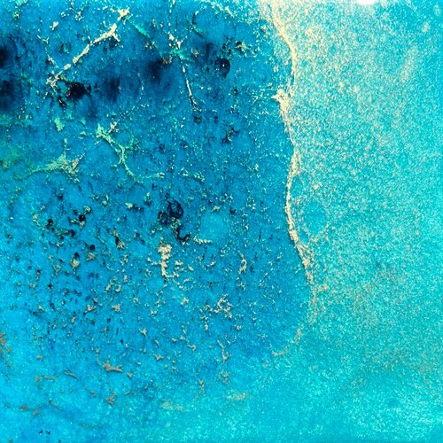 Coral reef Australia van Ana Hefco, Schilderij te koop op Singulart
