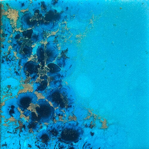 Coral reef Australia Ana Hefco