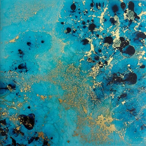 Coral reef Australia #8 Ana Hefco