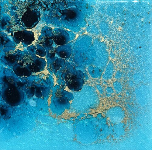 Coral reef Australia #7 van Ana Hefco, Schilderij te koop op Singulart