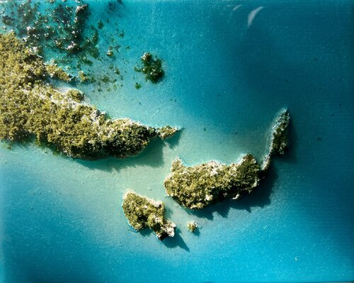 This is peace van Ana Hefco, Schilderij te koop op Singulart