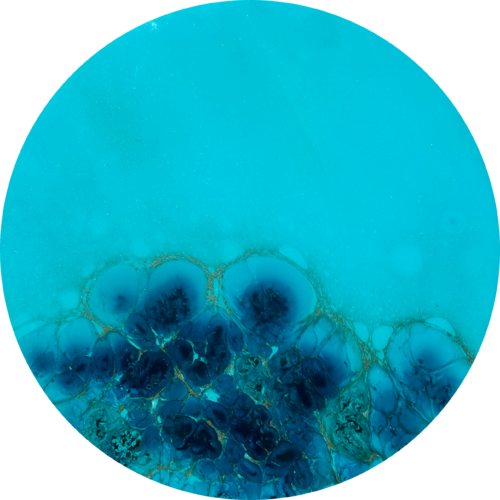 Round ocean #66 Ana Hefco