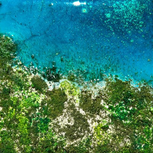 Diving Into The Blue Ana Hefco