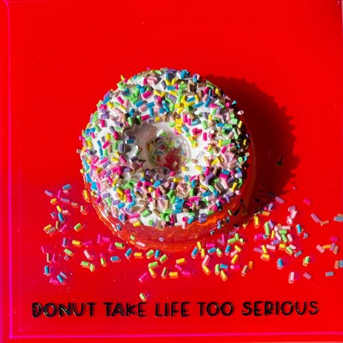 Donut Take Life Too Serious #4 Ana Hefco