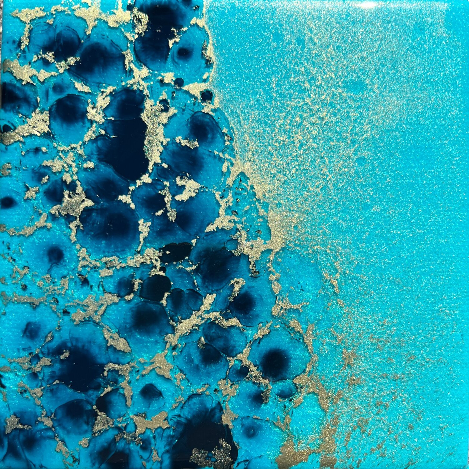 Coral reef Australia #5 Ana Hefco