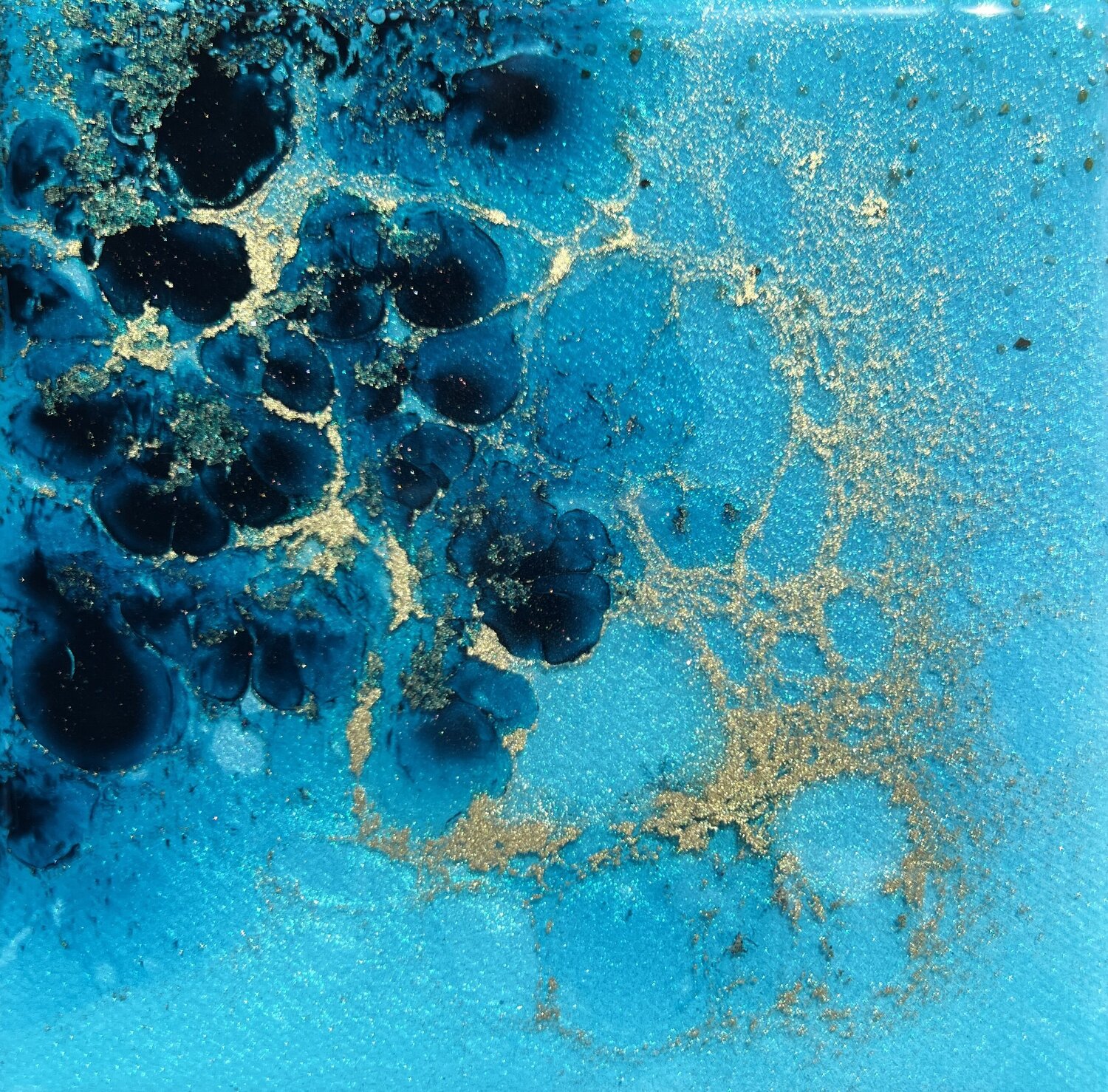 Coral reef Australia #7 Ana Hefco