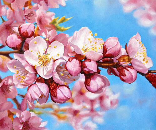Dulce floración van Javier Ramos Julián, Schilderij te koop op Singulart